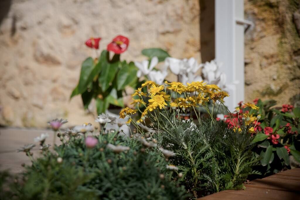 Photo of Outdoor in Koum Kapi