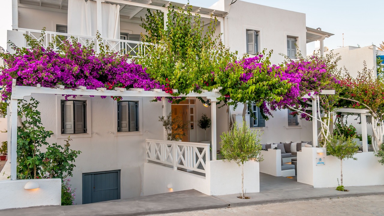 Photo of Outdoor in Adamas