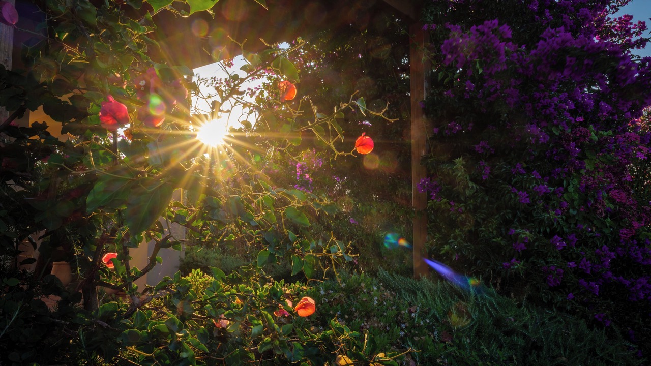Photo of Outdoor in Skala