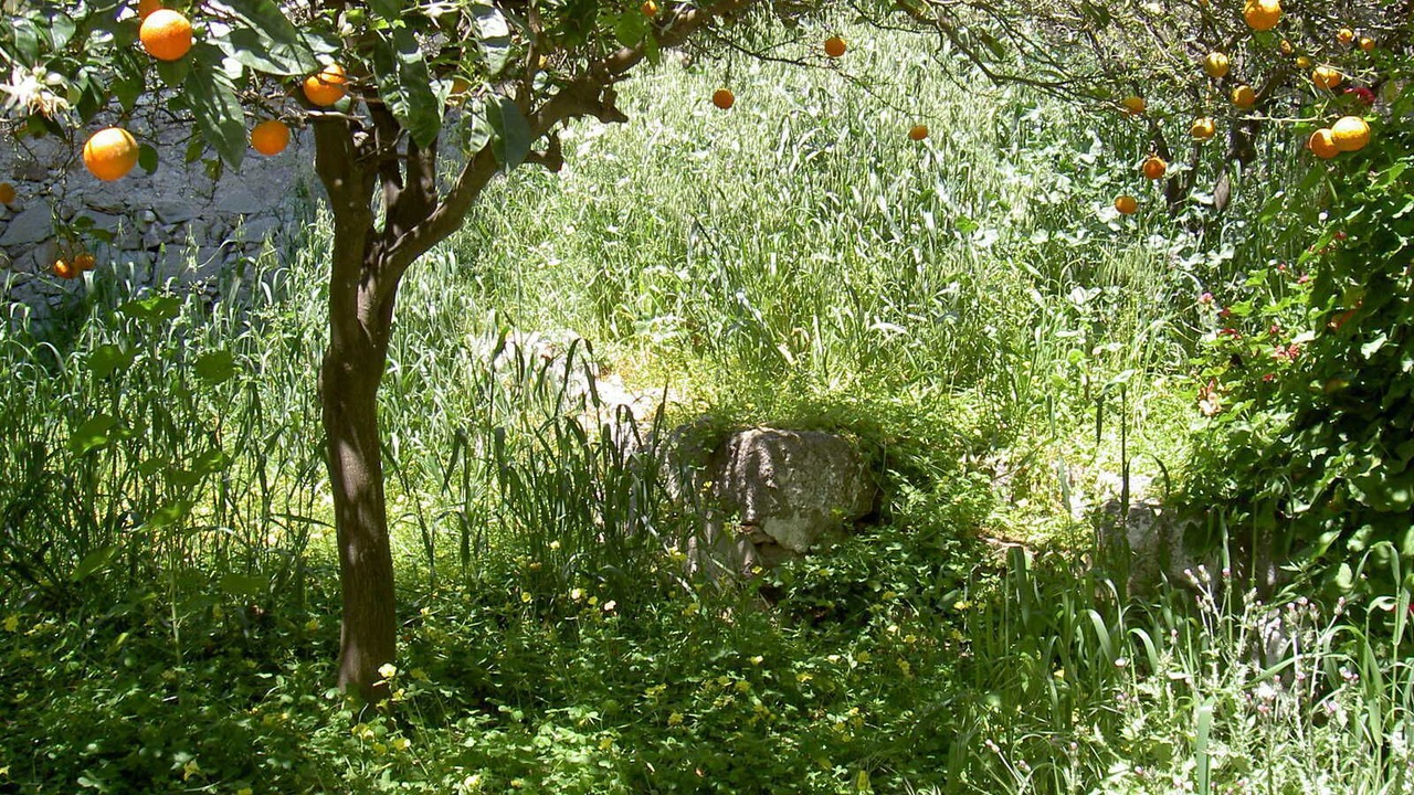 Photo of Others in Chora