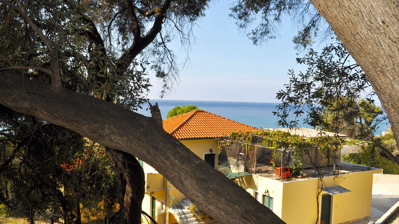 Photo of Outdoor in Agios Gordios