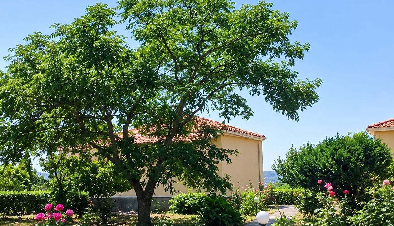 Photo of Outdoor in Skala Kallonis