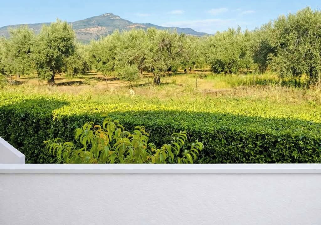 Photo of Outdoor in Skala Kallonis