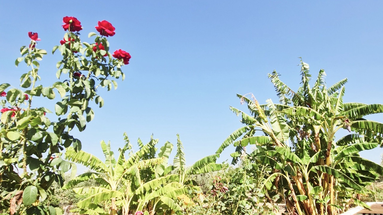 Photo of Outdoor in Lithakia