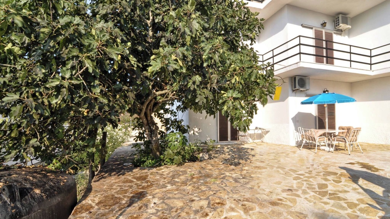 Photo of Outdoor in Alepou