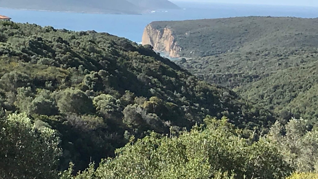 Photo of Others in Pylos-Nestoras