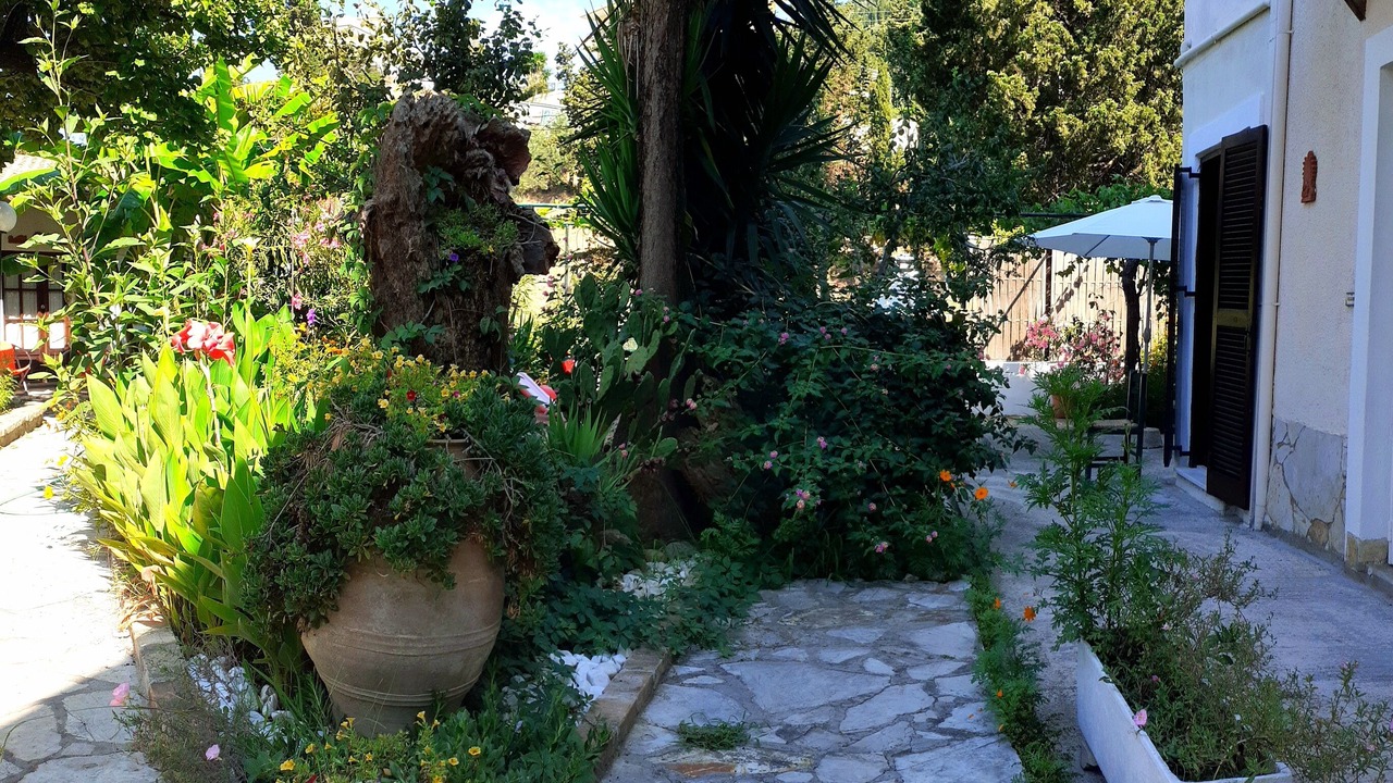 Photo of Outdoor in Agios Gordios