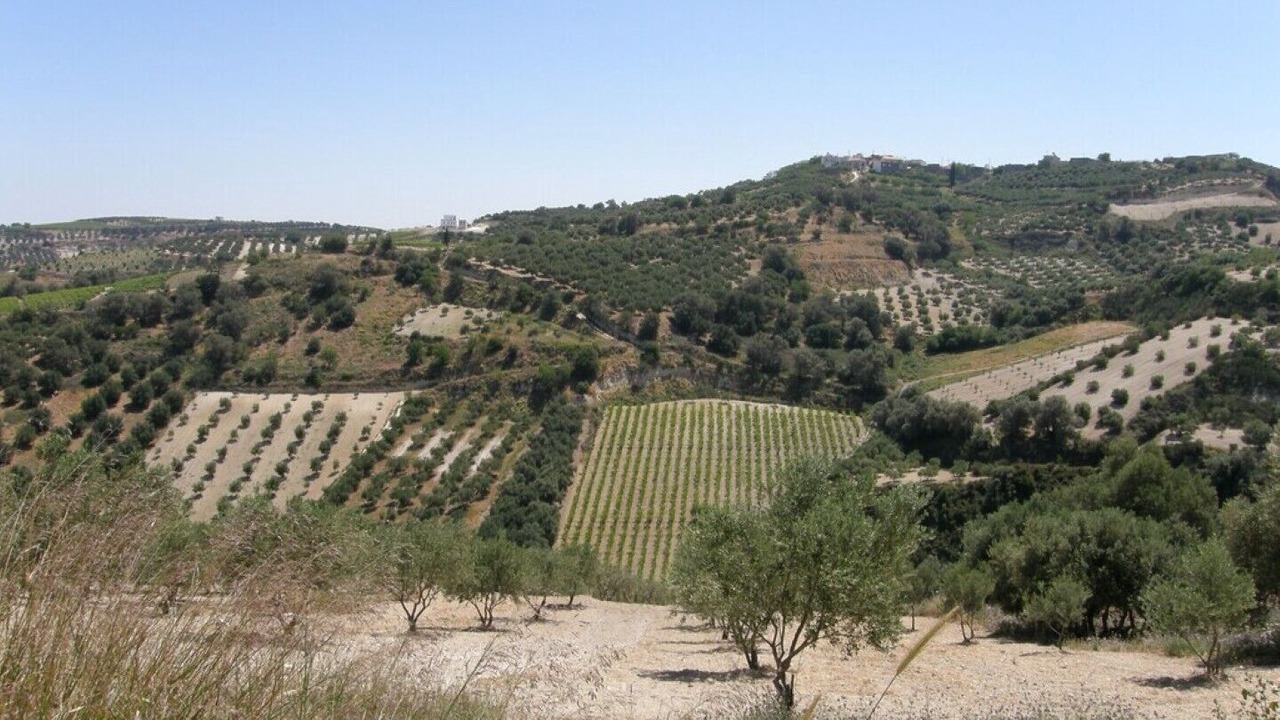 Photo of Outdoor in Pendamodi