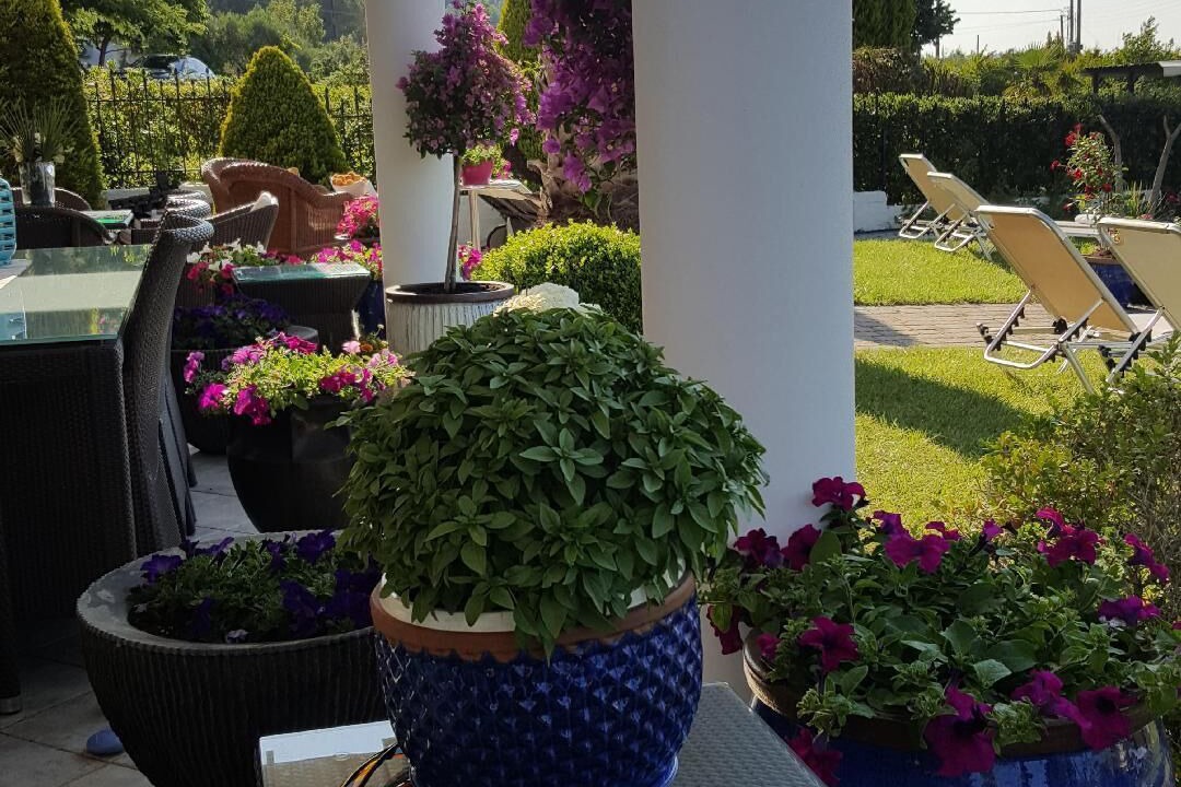 Photo of Patio Balcony in Polichrono