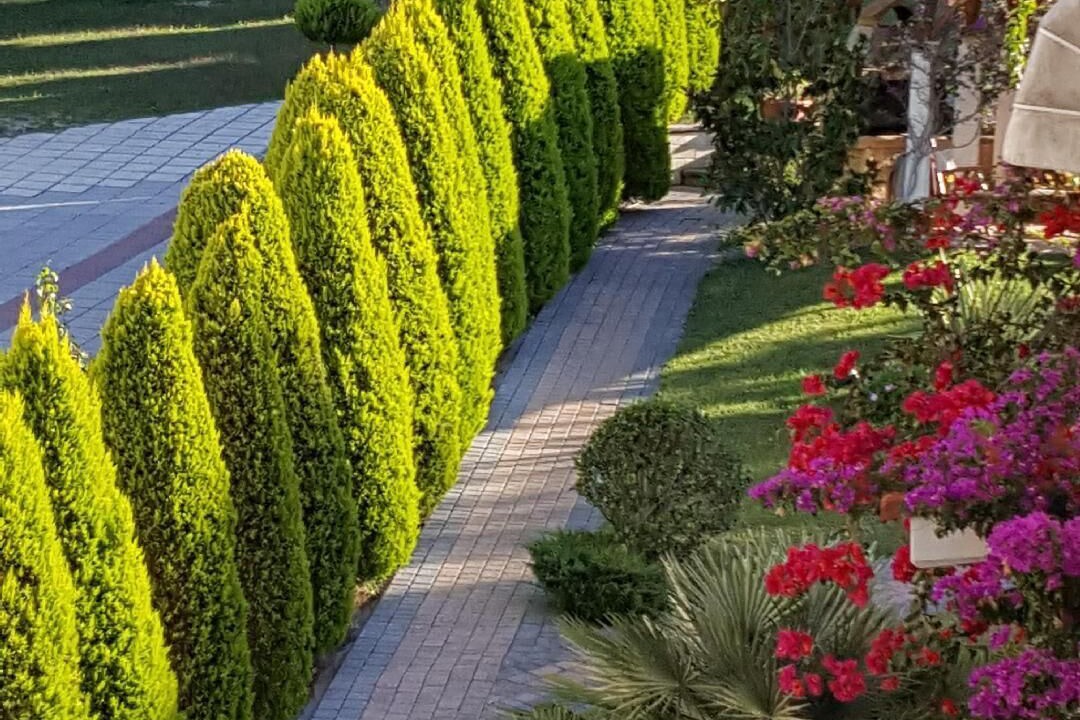 Photo of Outdoor in Polichrono
