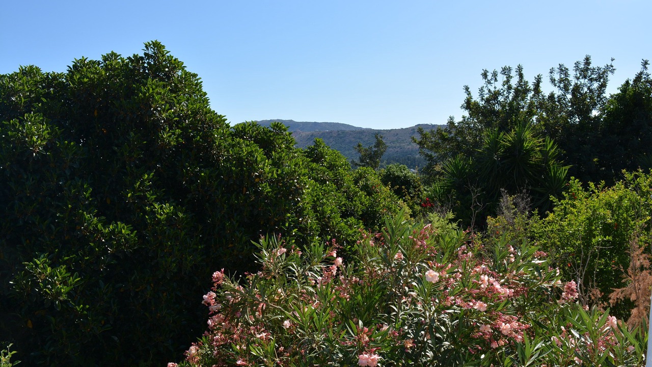 Photo of Outdoor in Douliana