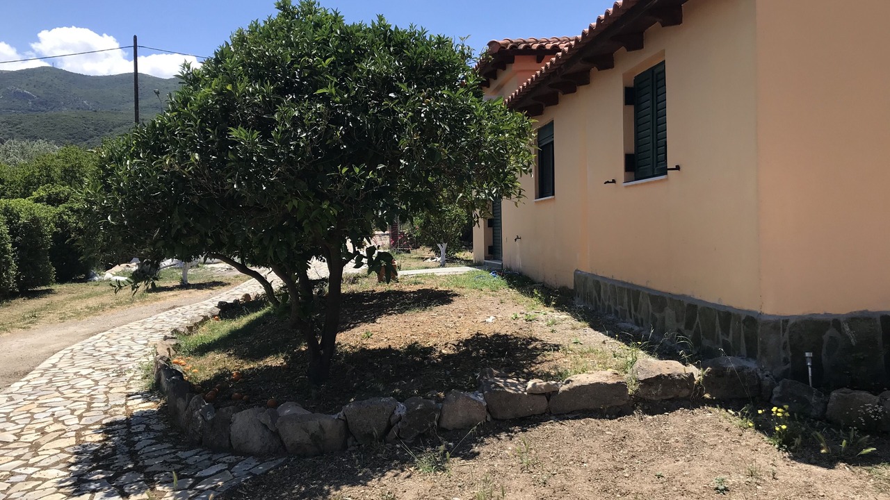 Photo of Outdoor in Galatas