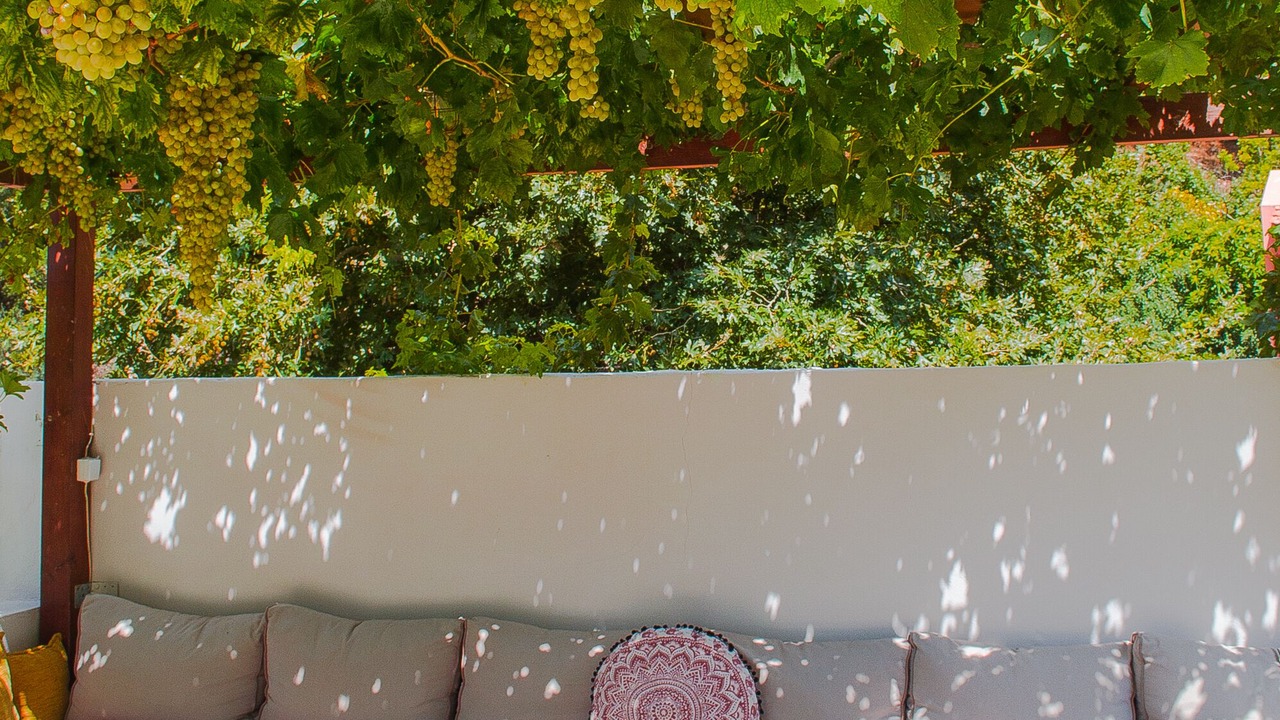 Photo of Outdoor in Livadia