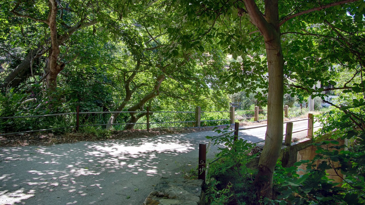 Photo of Outdoor in Livadia