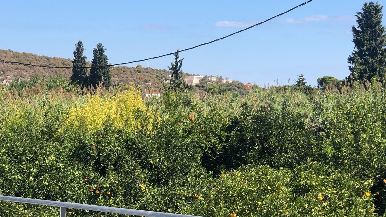 Photo of Others in Melissopetra