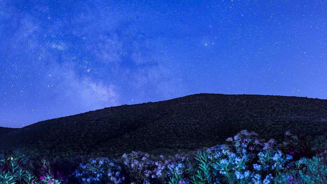 Photo of Outdoor in Samos Town
