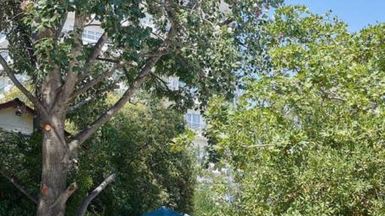 Photo of Others in Kolonaki