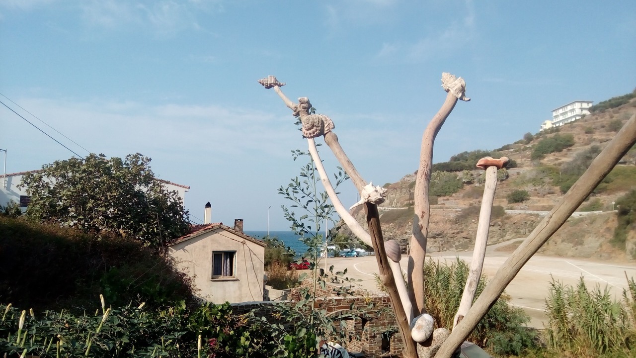 Photo of Others in Evdilos
