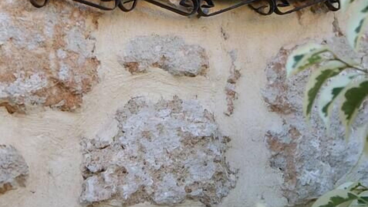 Photo of Others in Sitia