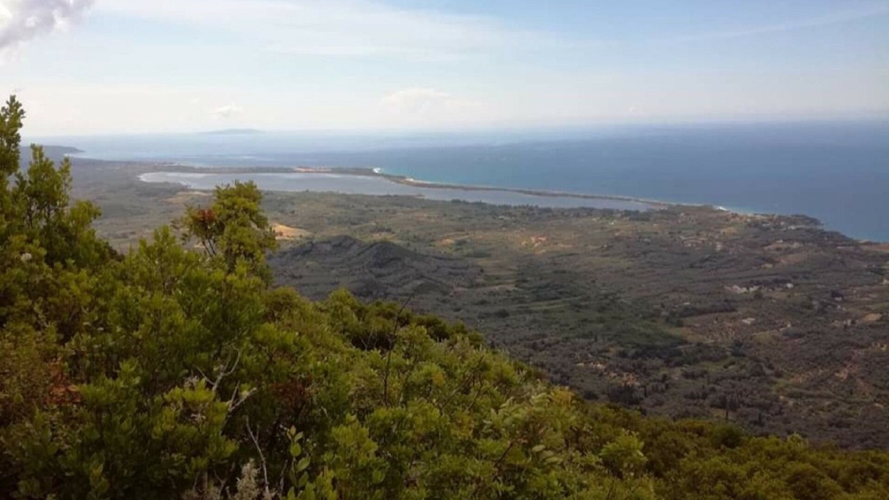 Photo of Others in Chalikounas