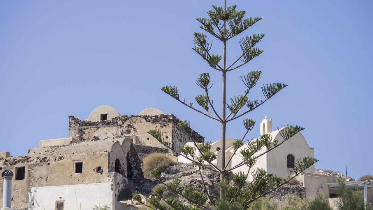 Photo of Others in Akrotiri