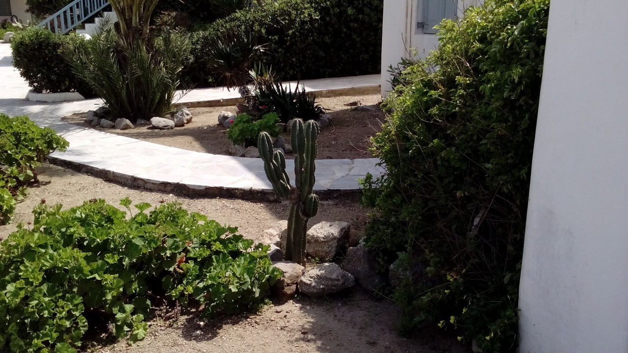 Photo of Outdoor in Ornos