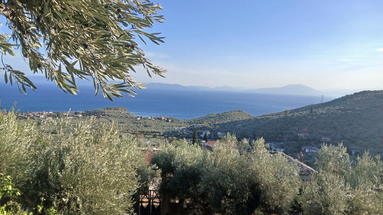 Photo of Others in South Pelion