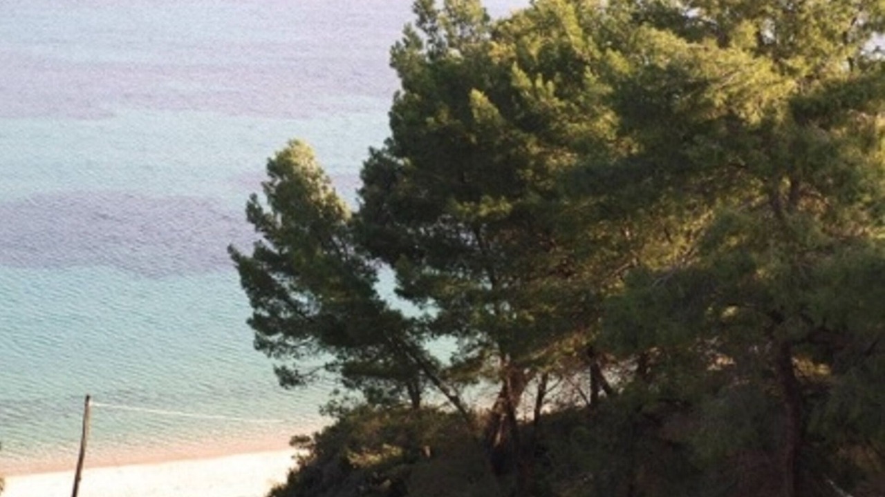 Photo of Others in Sithonia