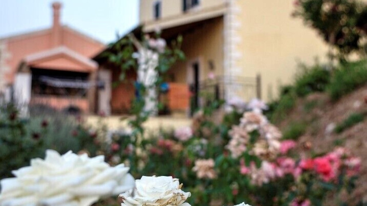 Photo of Outdoor in Sokraki
