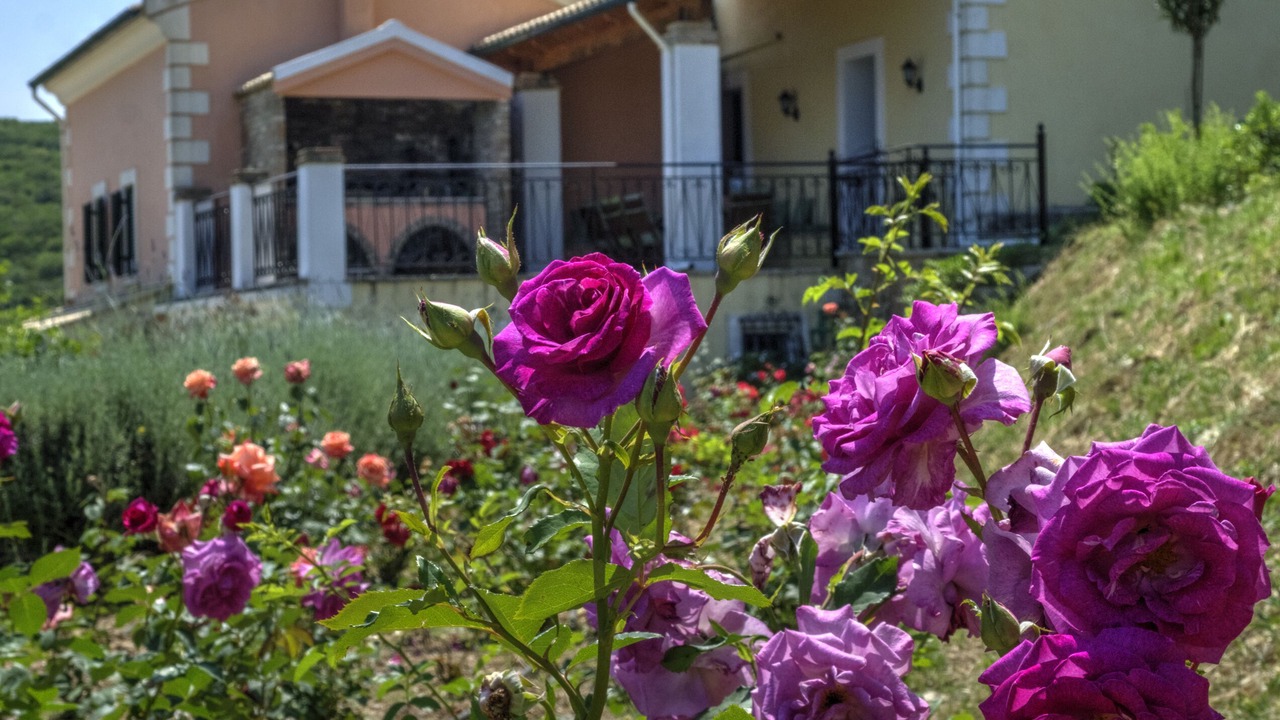 Photo of Outdoor in Sokraki