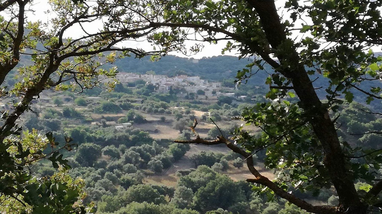 Photo of Outdoor in Vizari