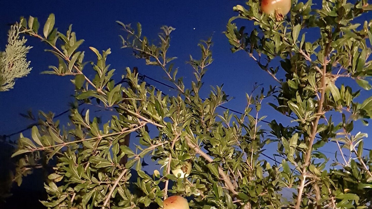 Photo of Outdoor in Plaka