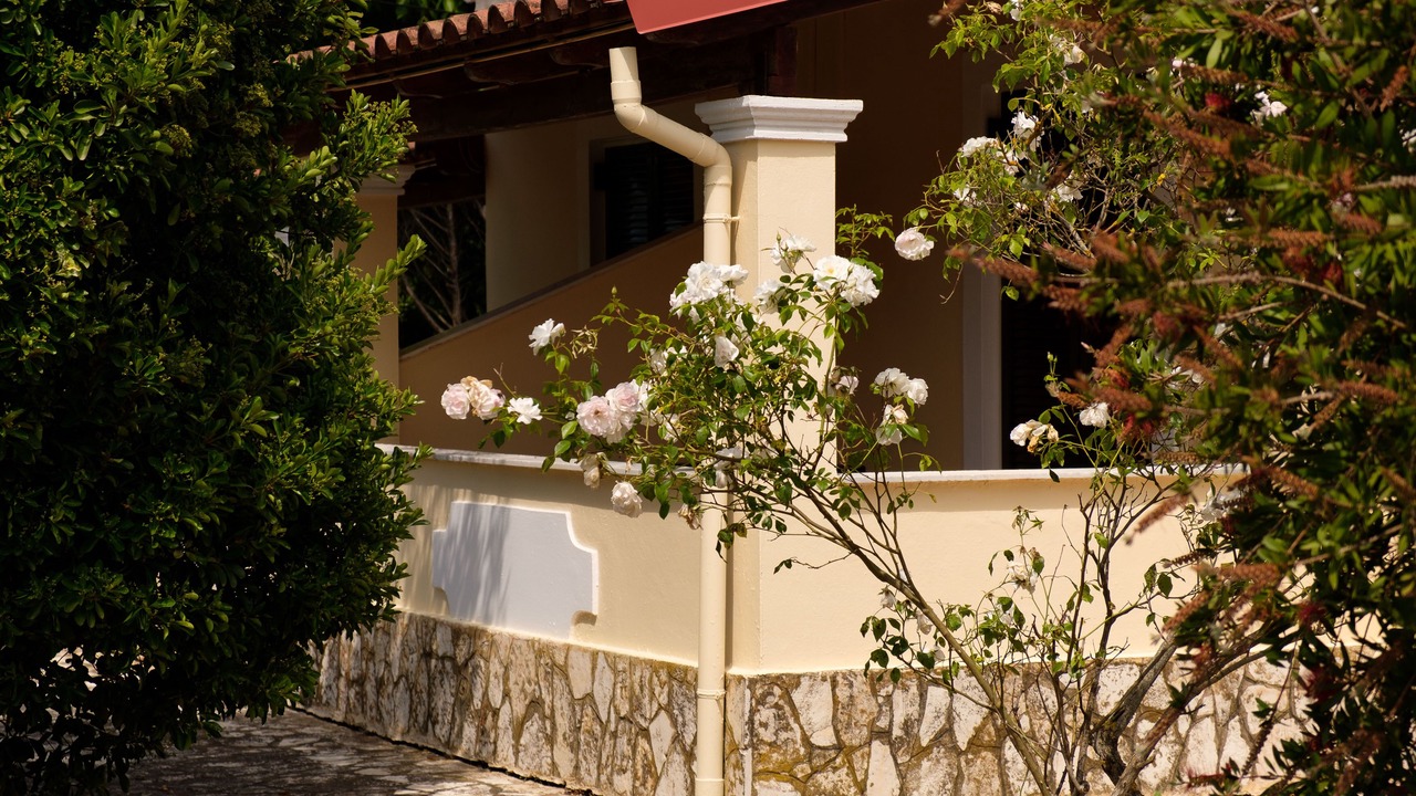 Photo of Outdoor in Sidari