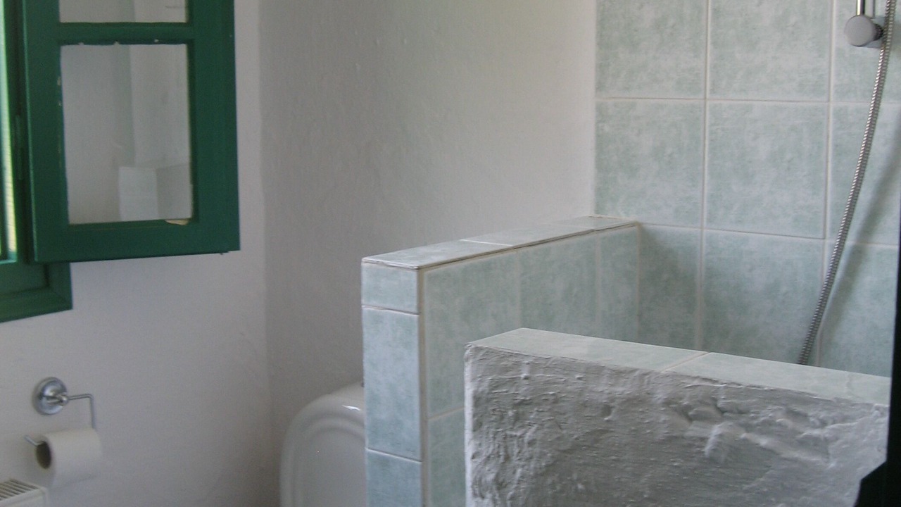 Photo of Bathroom in Skinaria