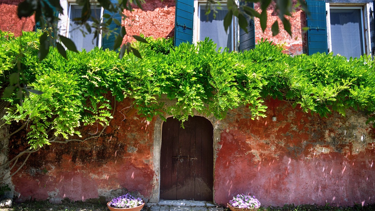 Photo of Outdoor in Roumanades