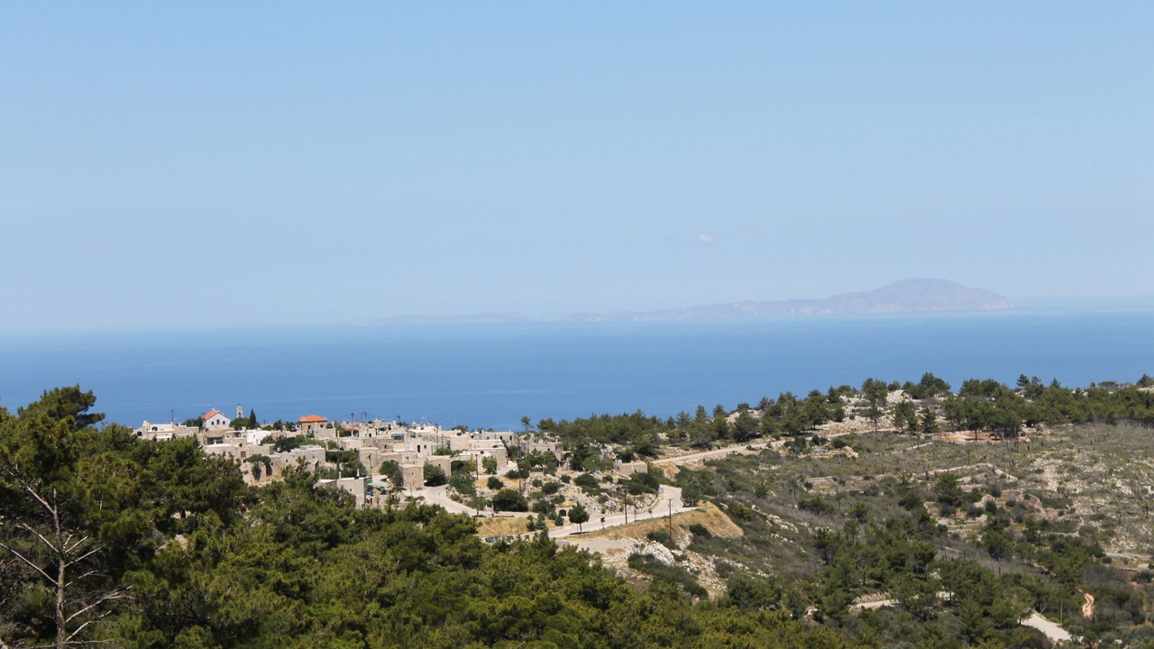 Photo of Others in Avgonyma