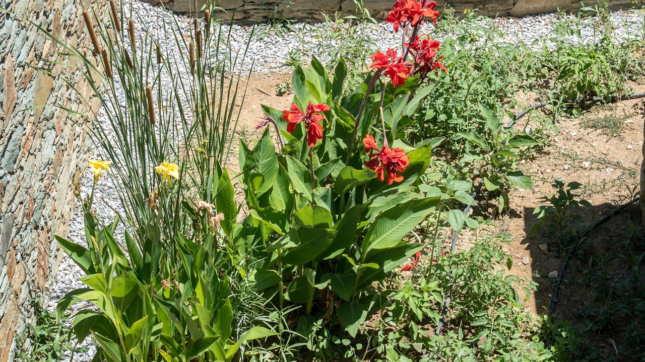 Photo of Outdoor in Karystos