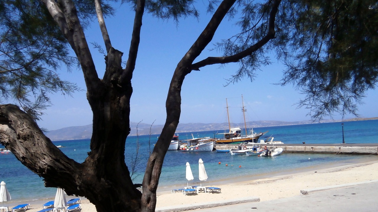 Photo of Others in Plaka