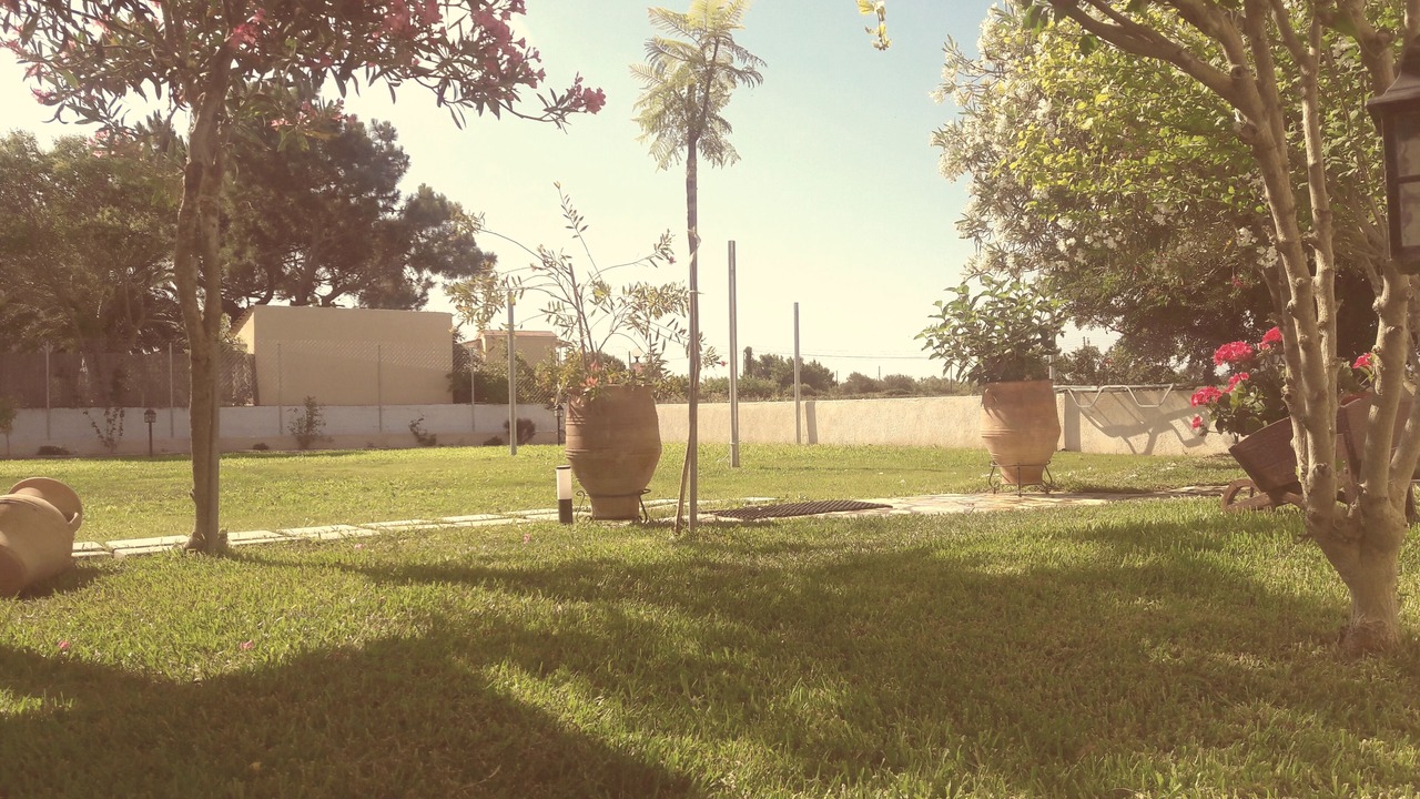 Photo of Outdoor in Ag. Georgios