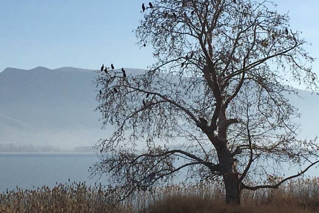 Photo of Others in Ampelokipi