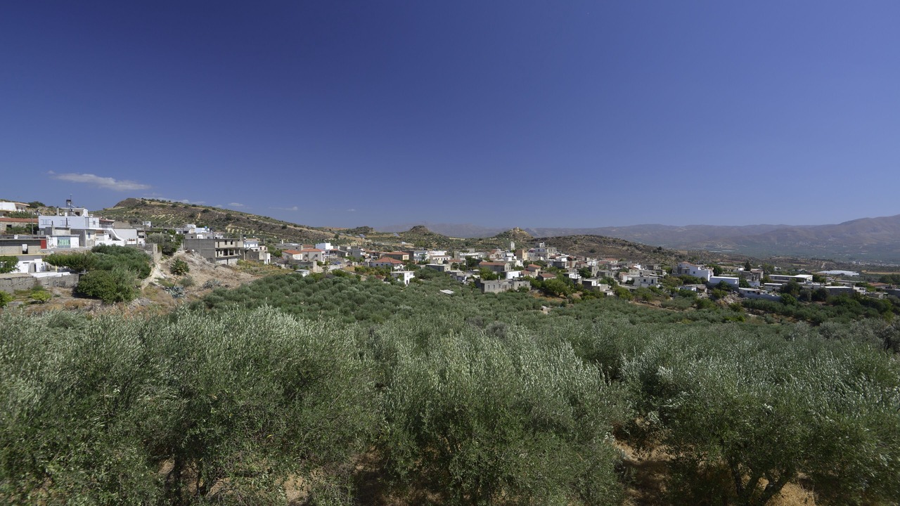 Photo of Outdoor in Galia