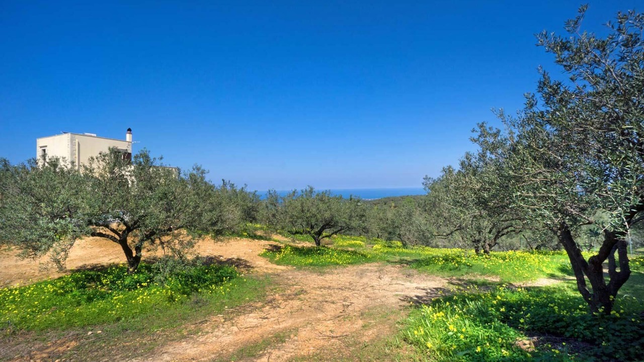 Photo of Outdoor in Platanias