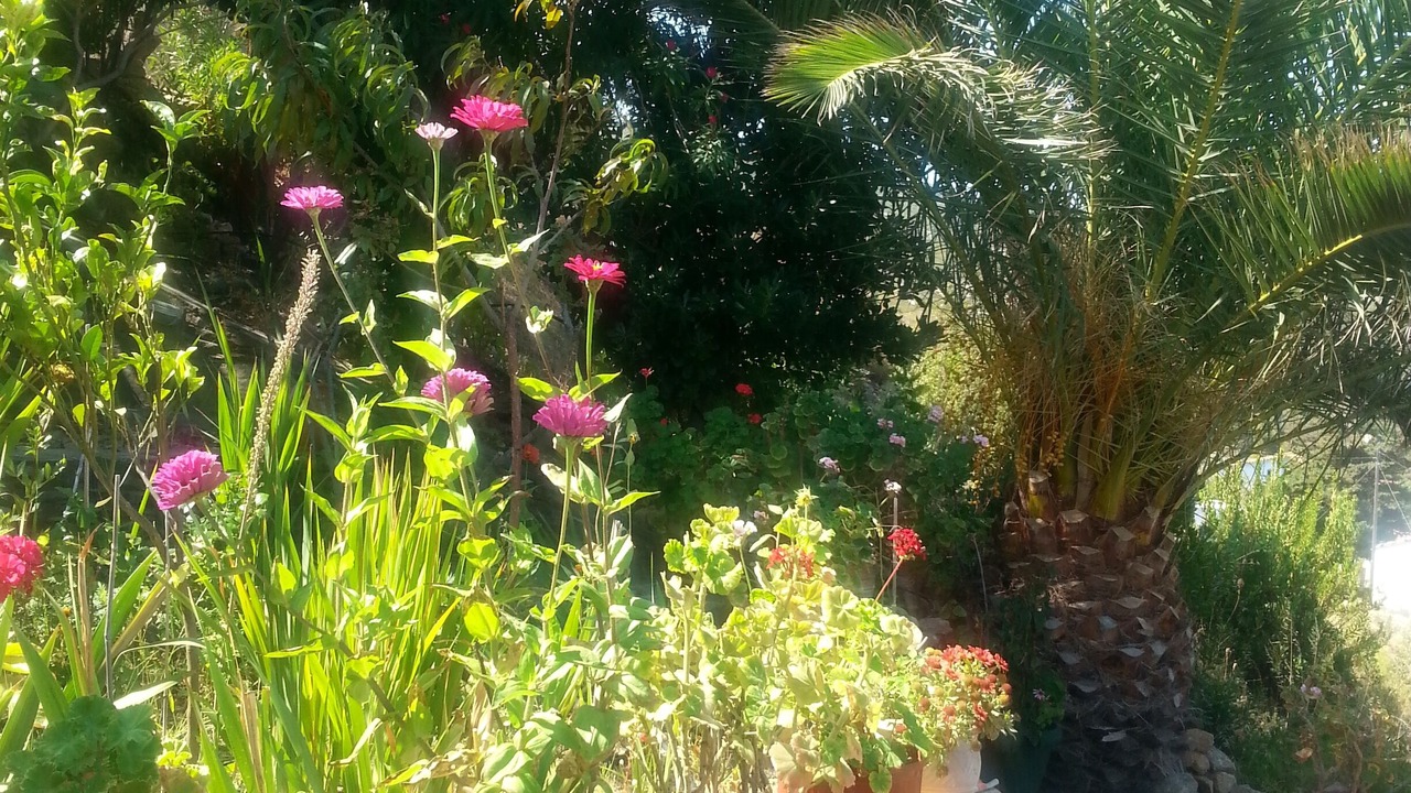 Photo of Outdoor in Gialiskari