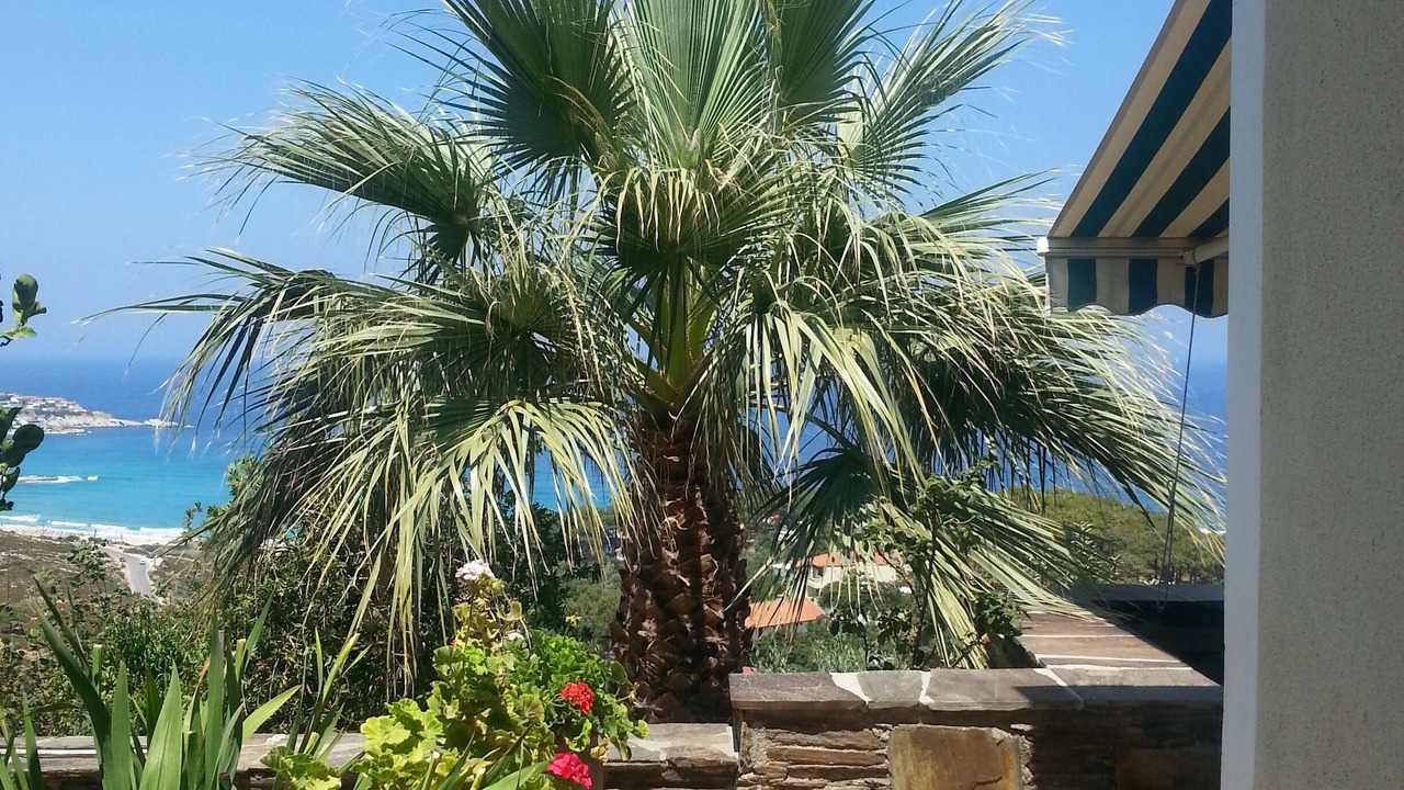 Photo of Outdoor in Gialiskari