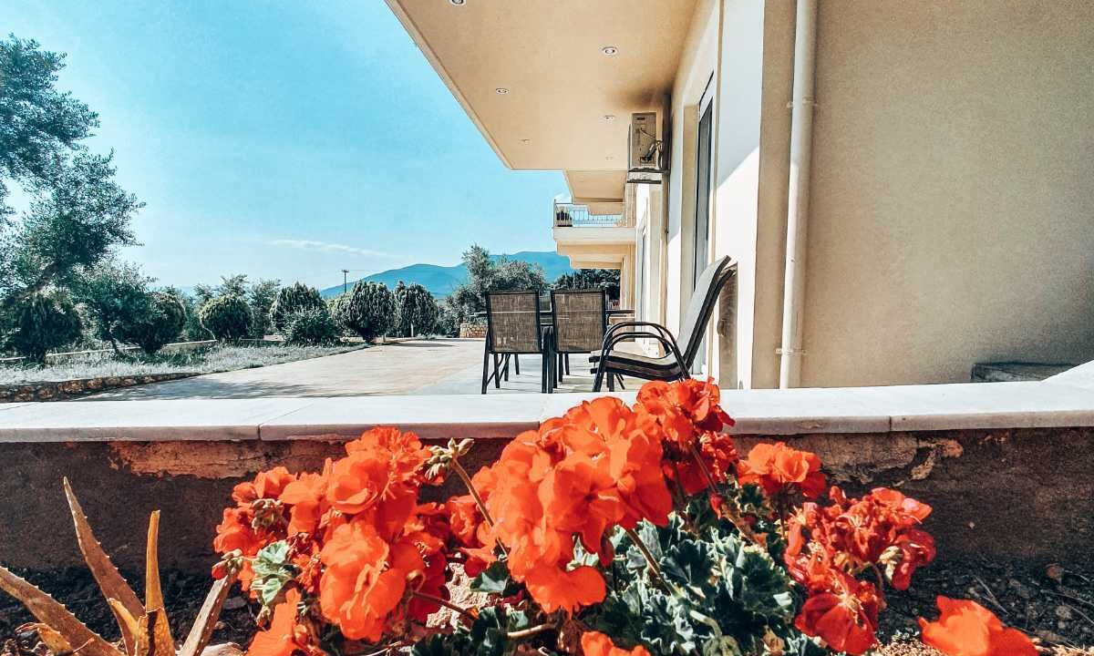 Photo of Outdoor in Diasella