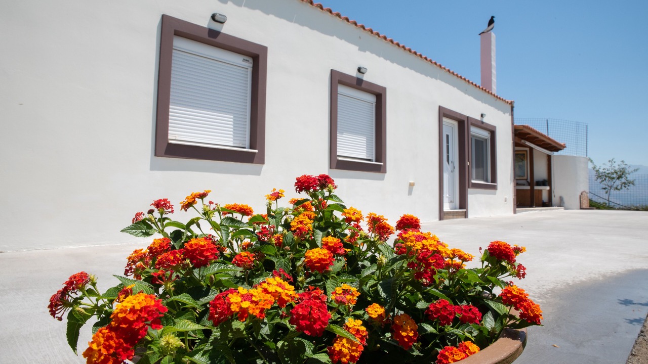 Photo of Outdoor in Minoa Pediada