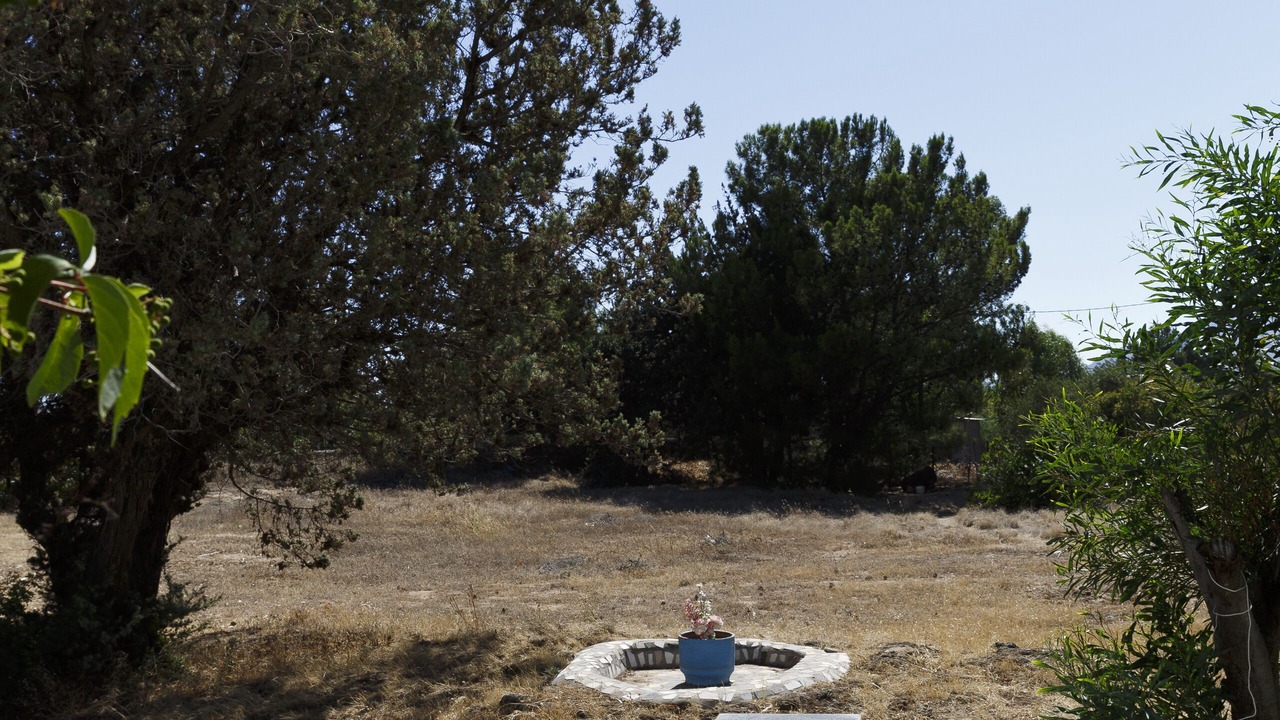 Photo of Outdoor in Pefkos