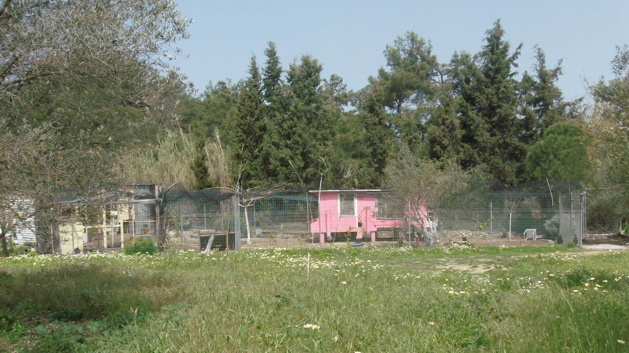 Photo of Outdoor in Kallithea