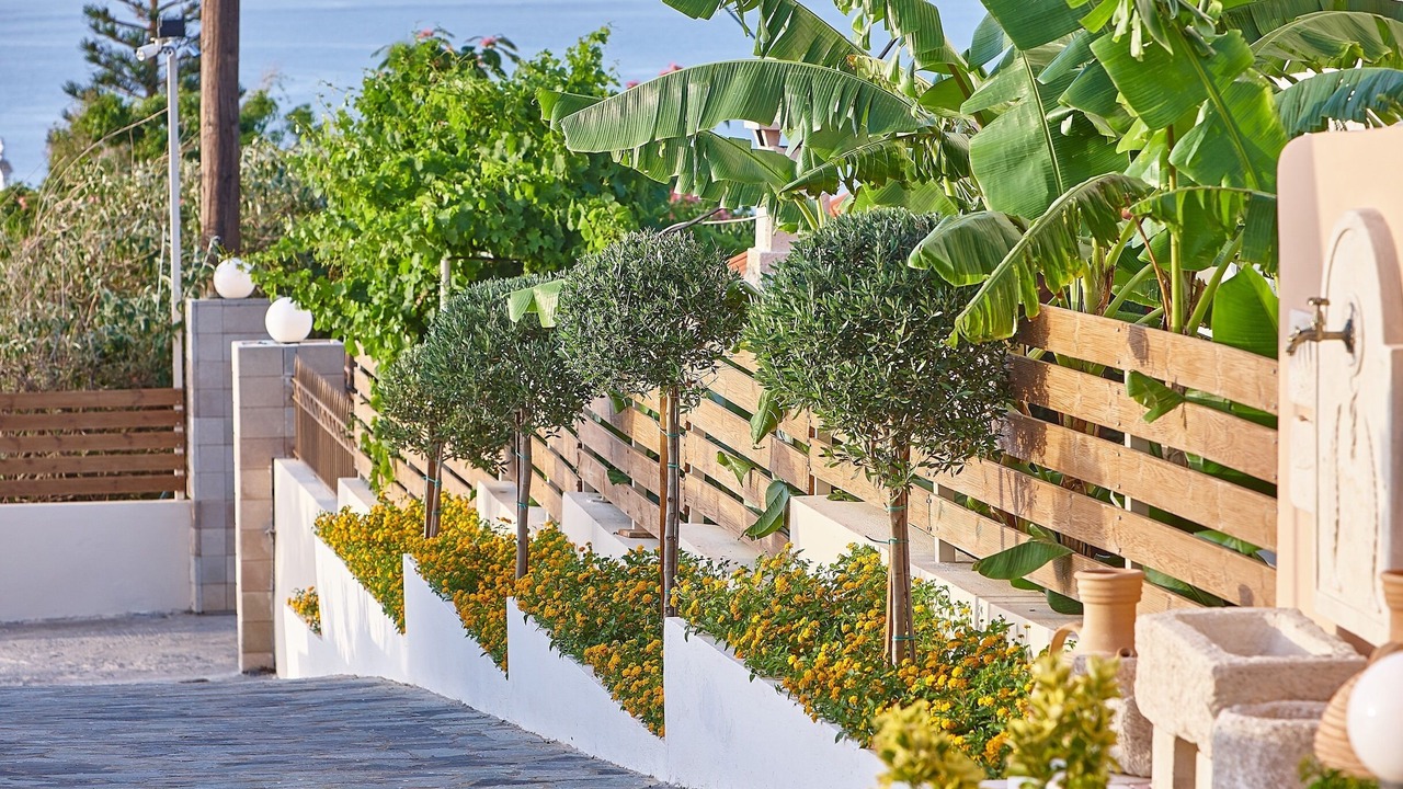 Photo of Outdoor in Agia Pelagia