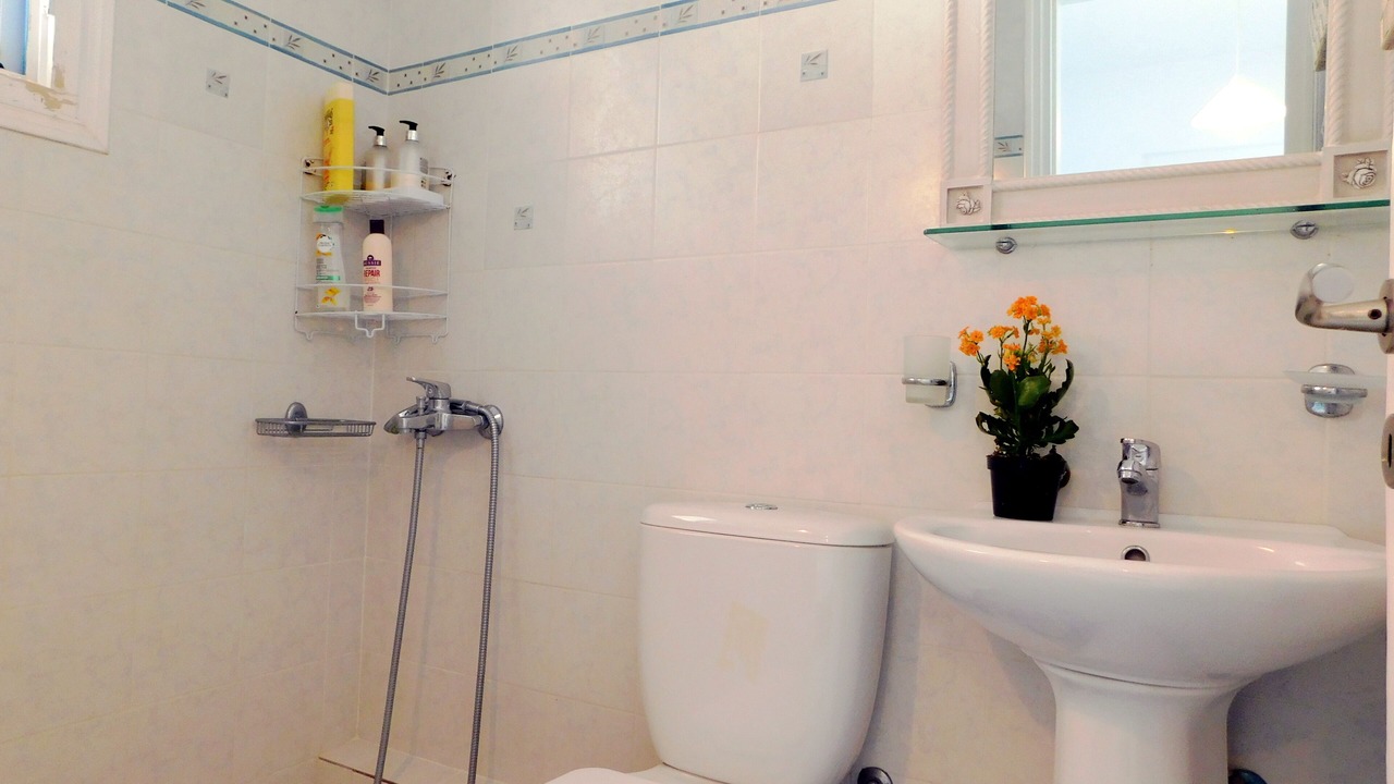 Photo of Bathroom in Piso Livadi